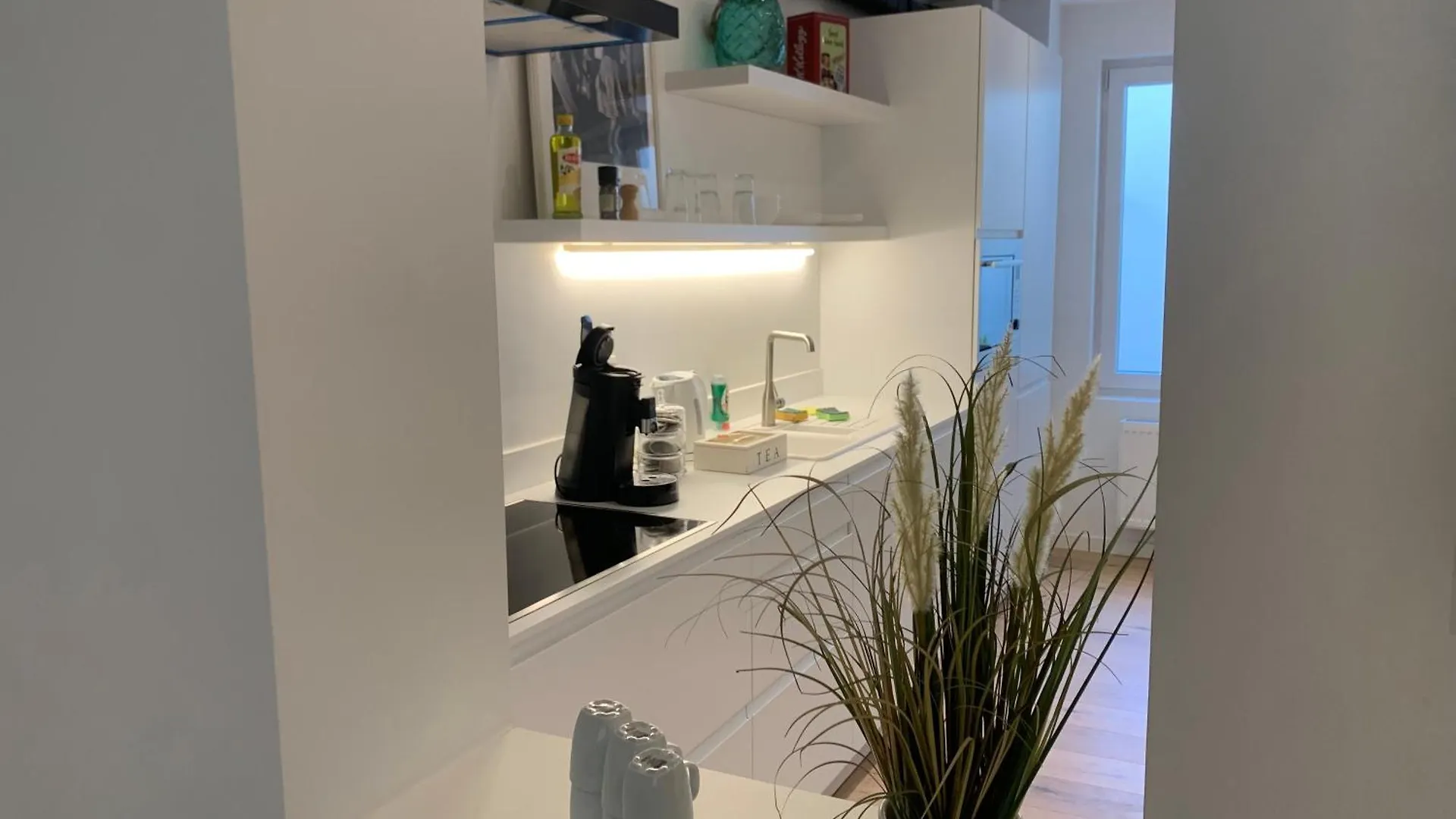 Francis50 1 Apartment Ostend